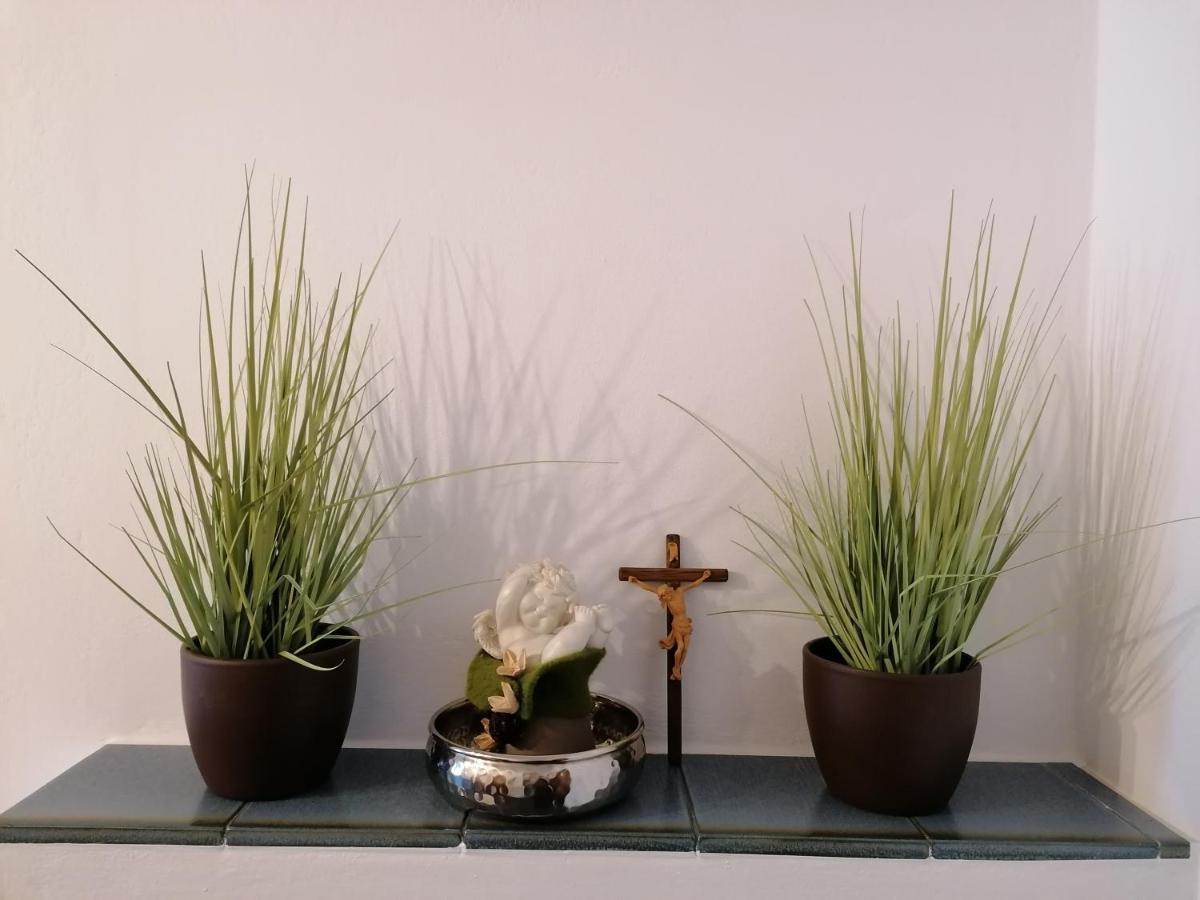 Ferienwohnung Oberkofler ミッタージル エクステリア 写真